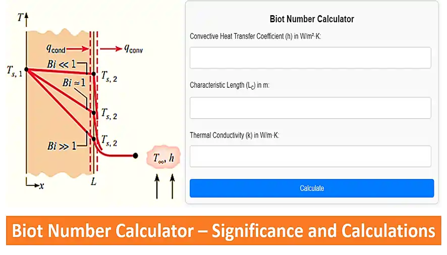 Biot Number Calculator – Significance and Calculations